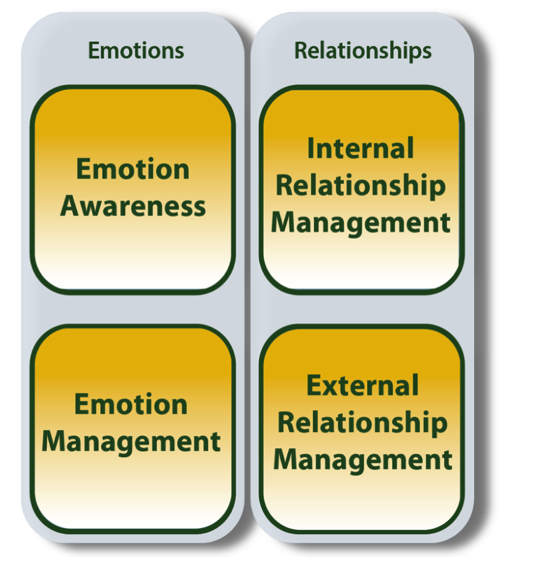 Emotion and Relationships 