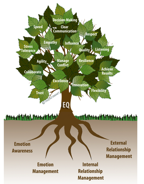 Components of Team Emotional Intelligence