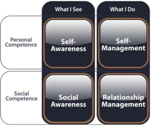 Emotional Intelligence 2.0 Step By Step Guide