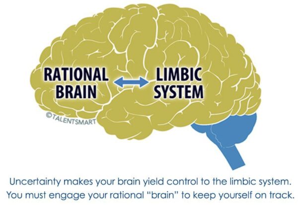 rational-brain-and-limbic-system