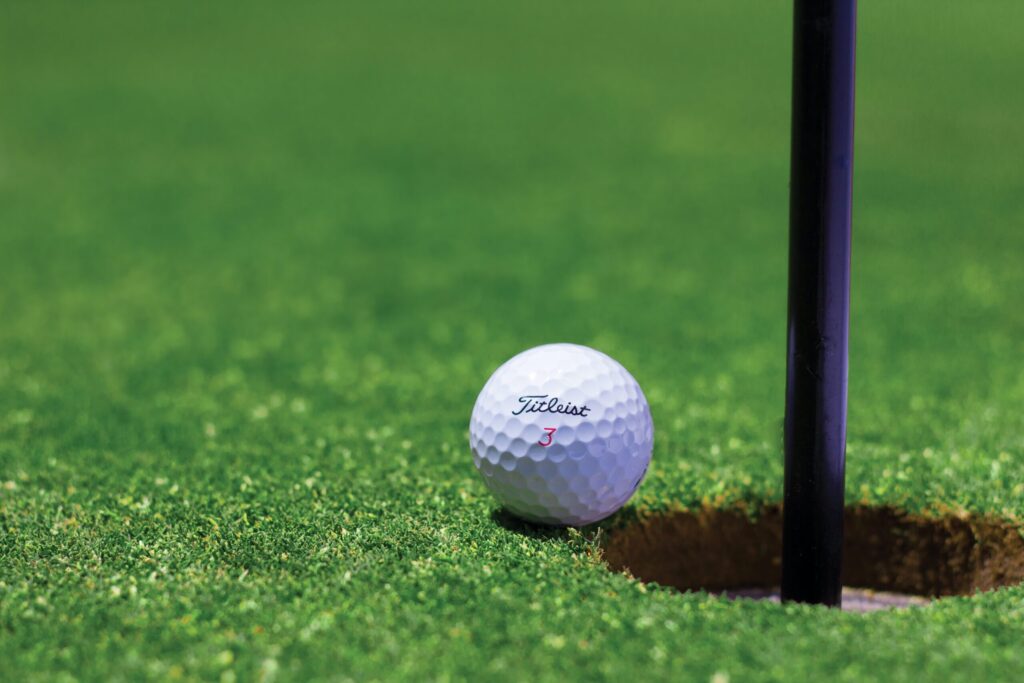 Tiger Woods - American Professional Golfer