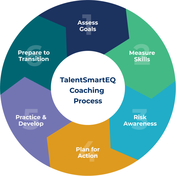 TalentSmartEQ Emotional Intelligence Coaching Process
